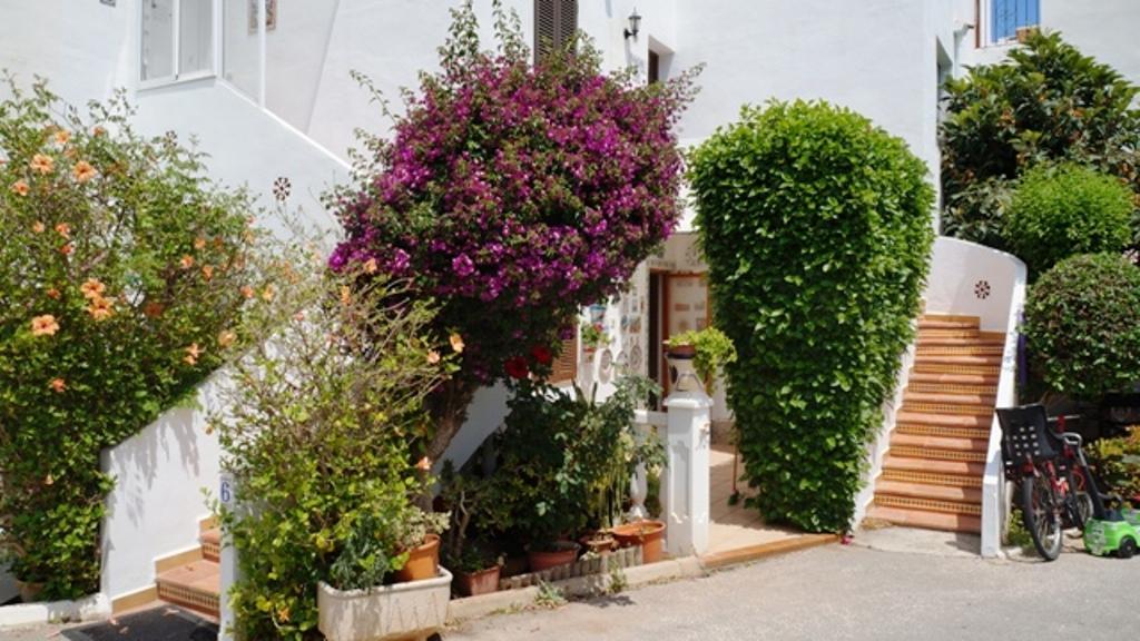 Patio Andaluz Apartment Denia Exterior photo