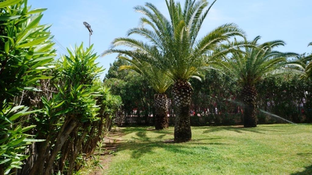 Patio Andaluz Apartment Denia Exterior photo